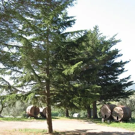 Appartamenti Lacona